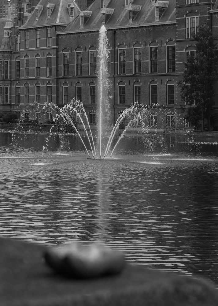 Фотография автора Madina Musaeva