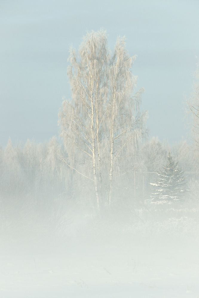 Photograph by Jelena Dzene