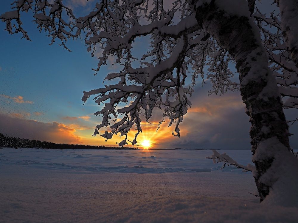 Photograph by Евгений Яковлев