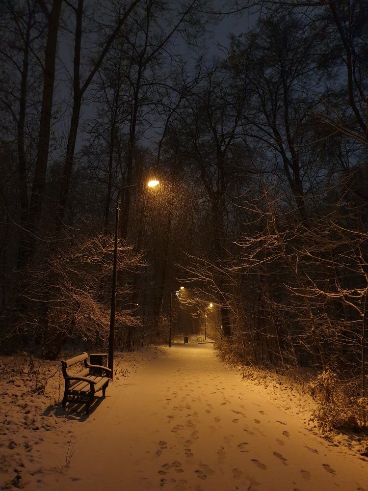 Photograph by Дмитрий Зернов