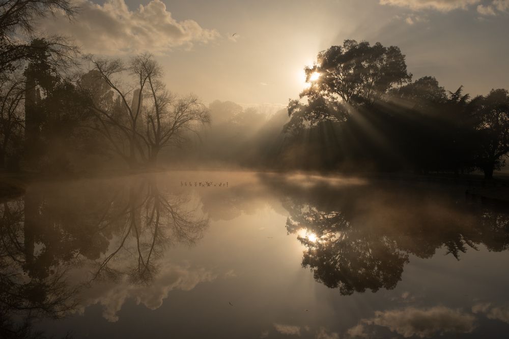 Photograph by Maria Mac lean