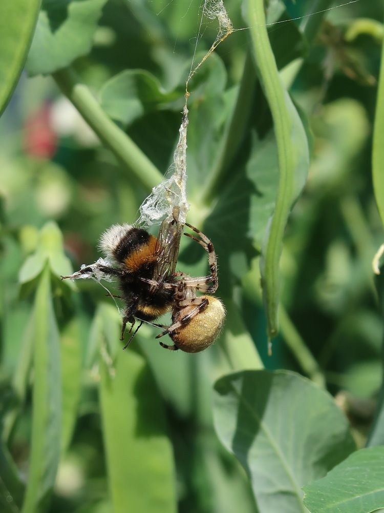 Photograph by Алан Гасымов