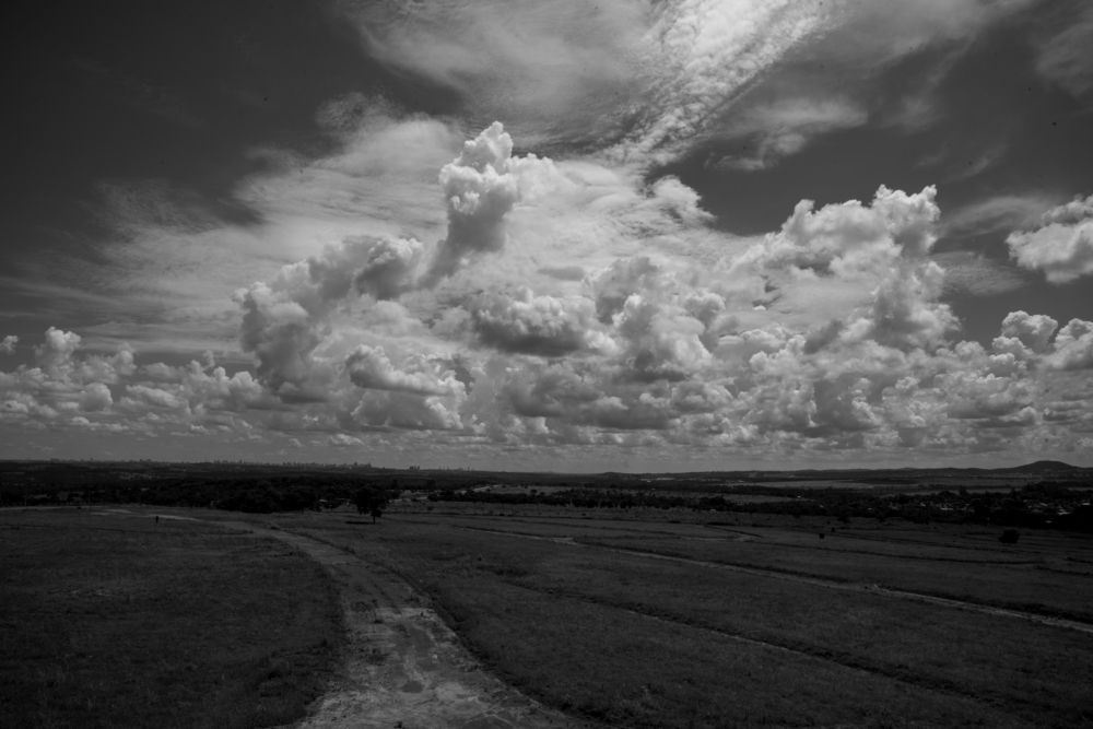 Perfectam diem (A perfect day)