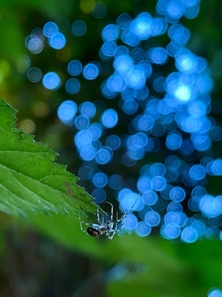 Photograph by Алан Гасымов