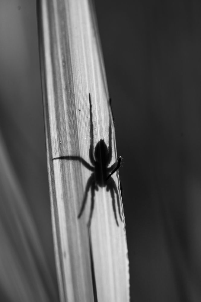 Photograph by Алан Гасымов