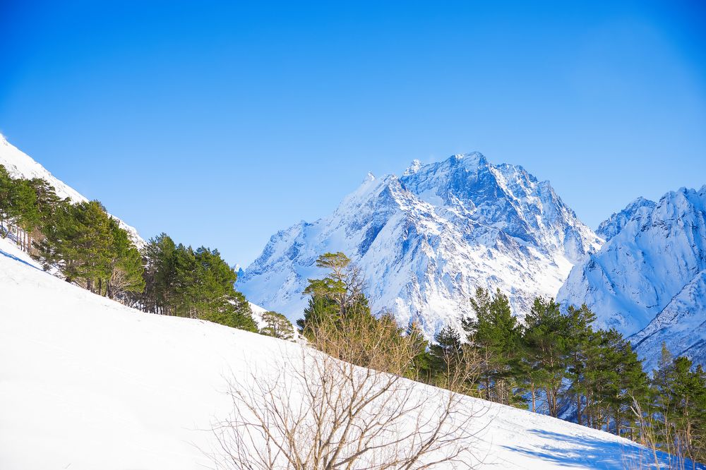 Photograph by Оксана Владимировна
