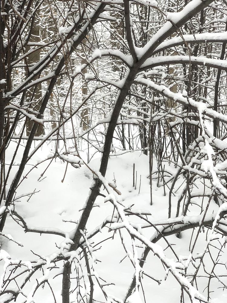 Photograph by Liliana Grup