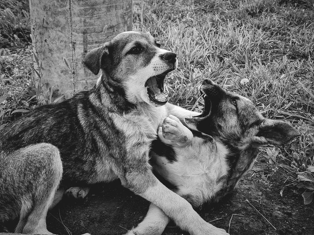 Photograph by Алина Аристова