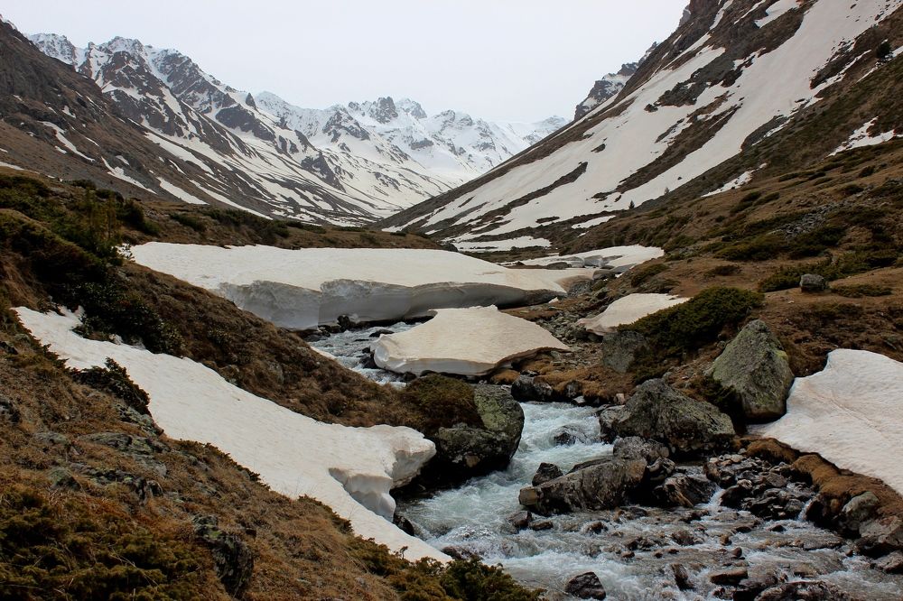 Photograph by Сергей Смоленцев