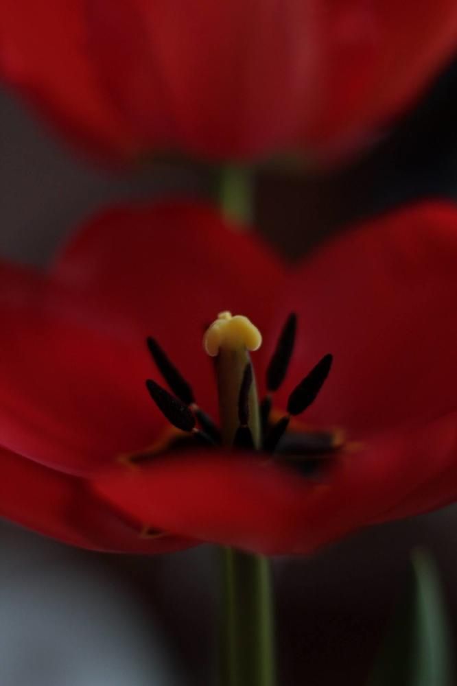 Photograph by Александра Сасина