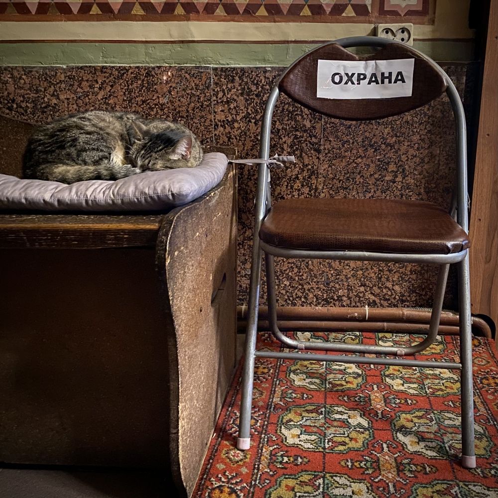 Фотография автора Pacekin