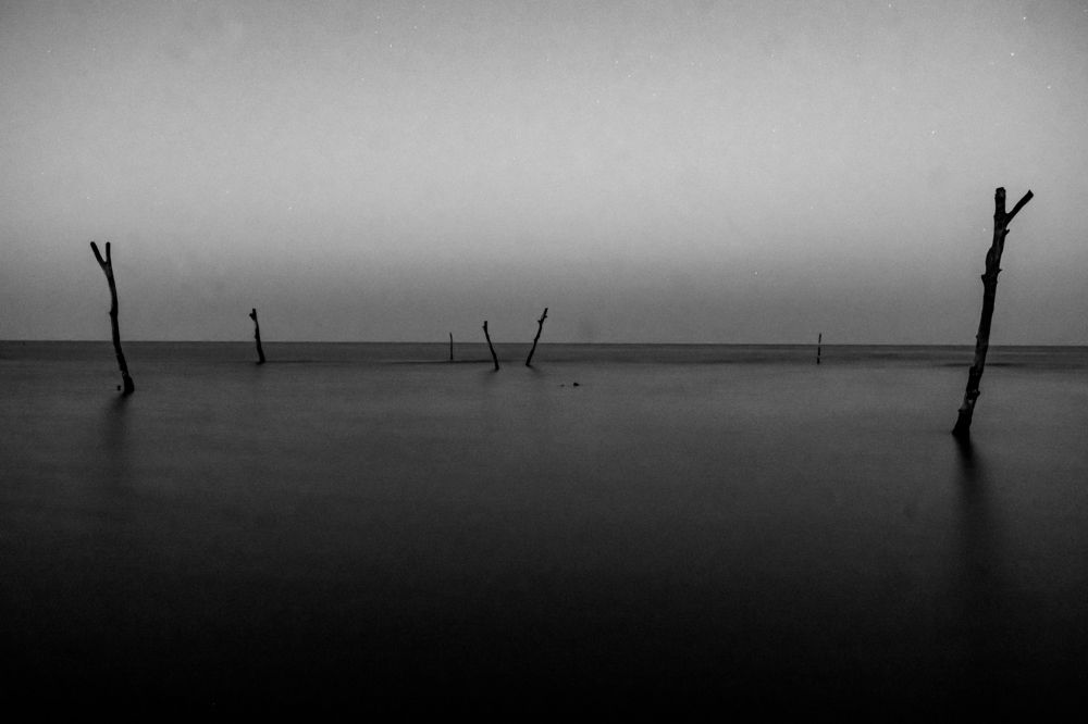 Photograph by Luis Angel Domínguez Casados