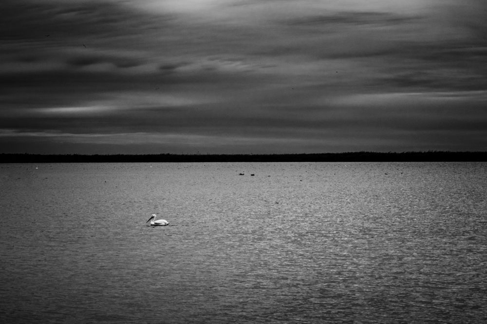 Photograph by Luis Angel Domínguez Casados