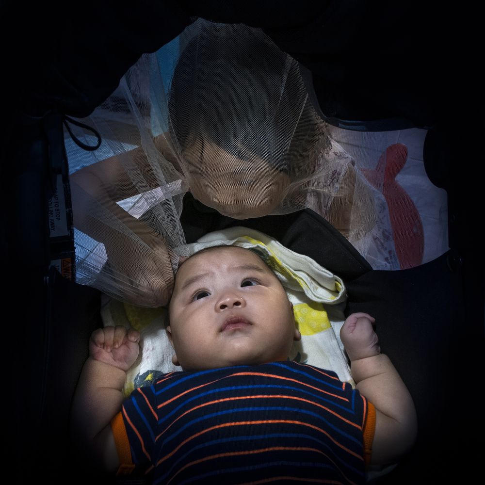 Photograph by tuy tran van