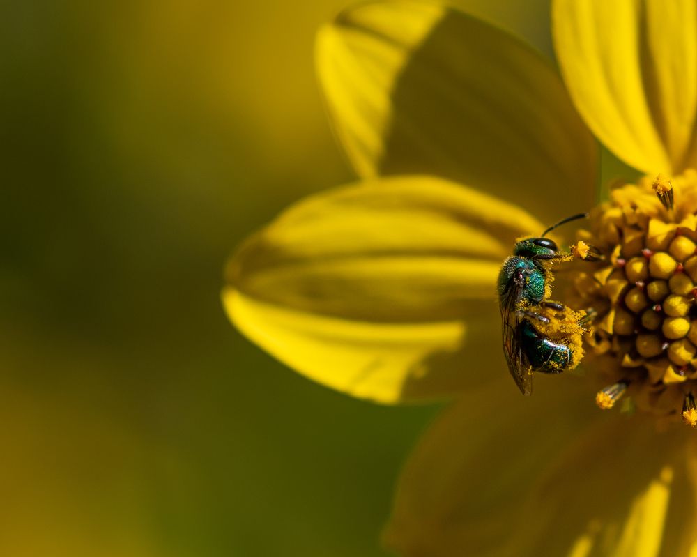 Photograph by Manuel Soto