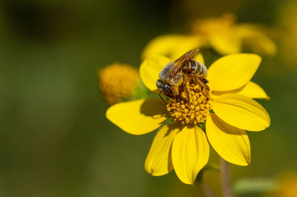 Photograph by Manuel Soto