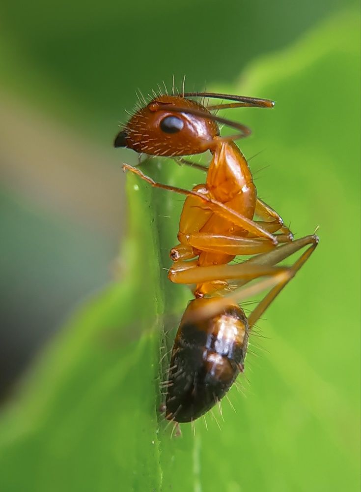 Photograph by Vishnu SR