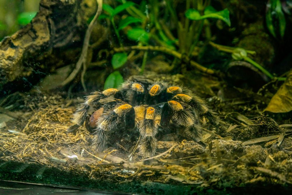 Photograph by Arkadii Dodoka