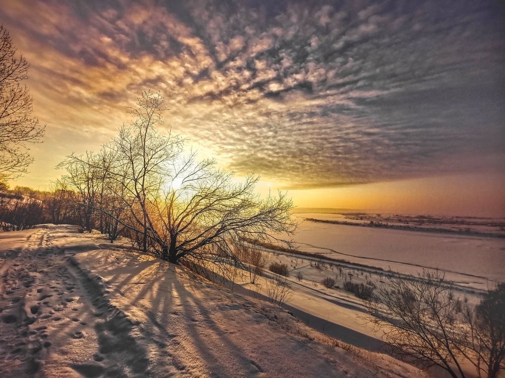 акварель зимы