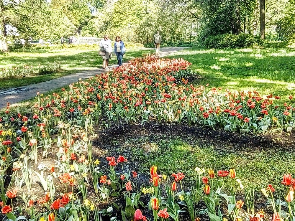 Photograph by Irina Mihailovskaya