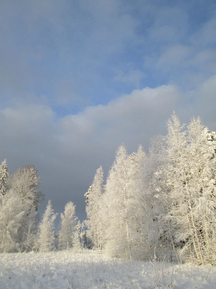 Фотография автора Сергей Барановский