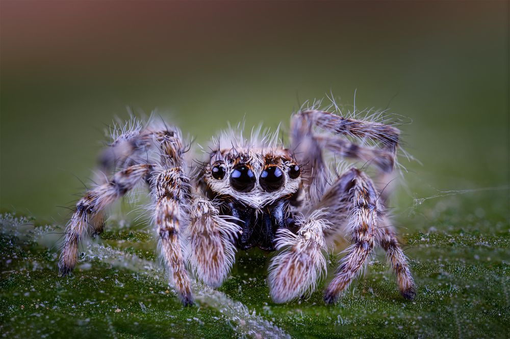 Photograph by 都 文明