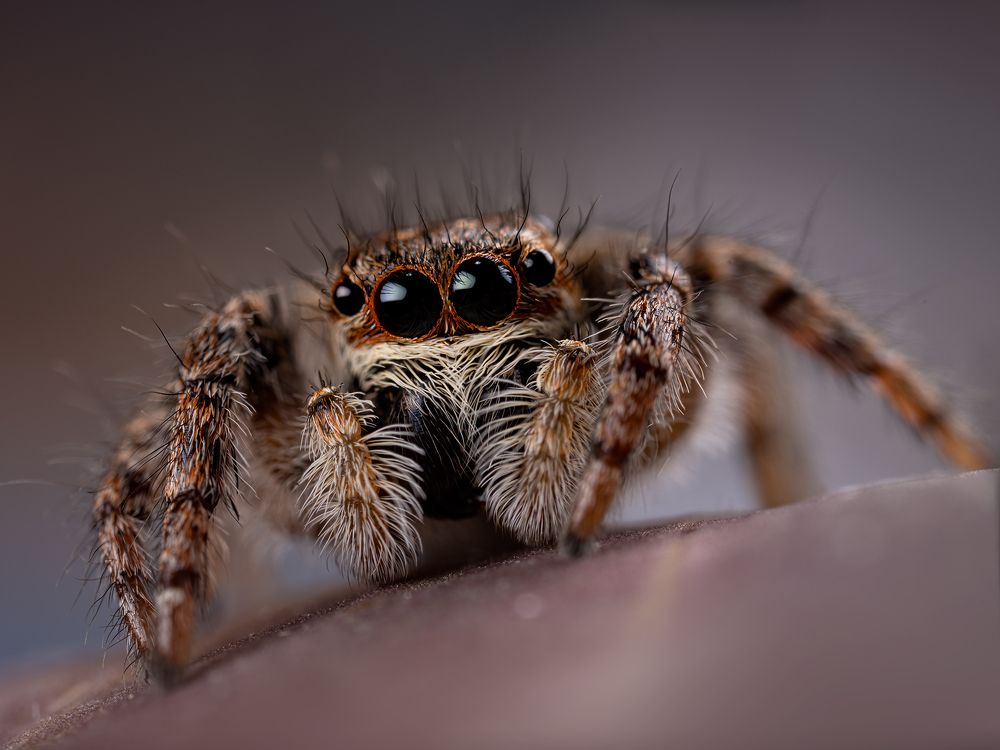 Photograph by 都 文明