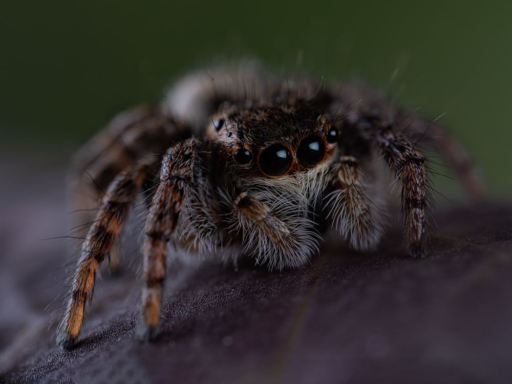 Photograph by 都 文明