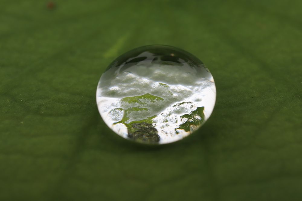 Photograph by Se Lena