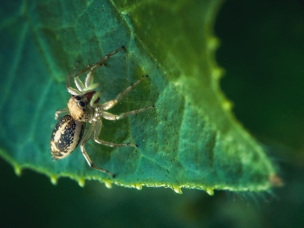 Photograph by Feri Fikri