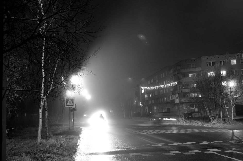 Photo #7152747