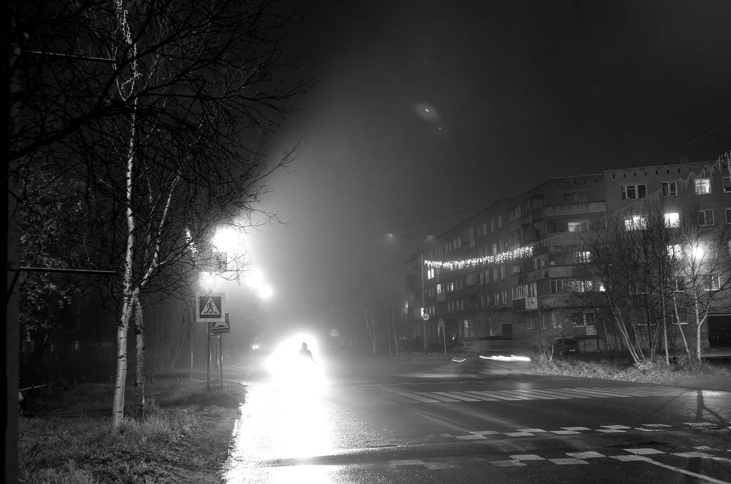Photo #7152747