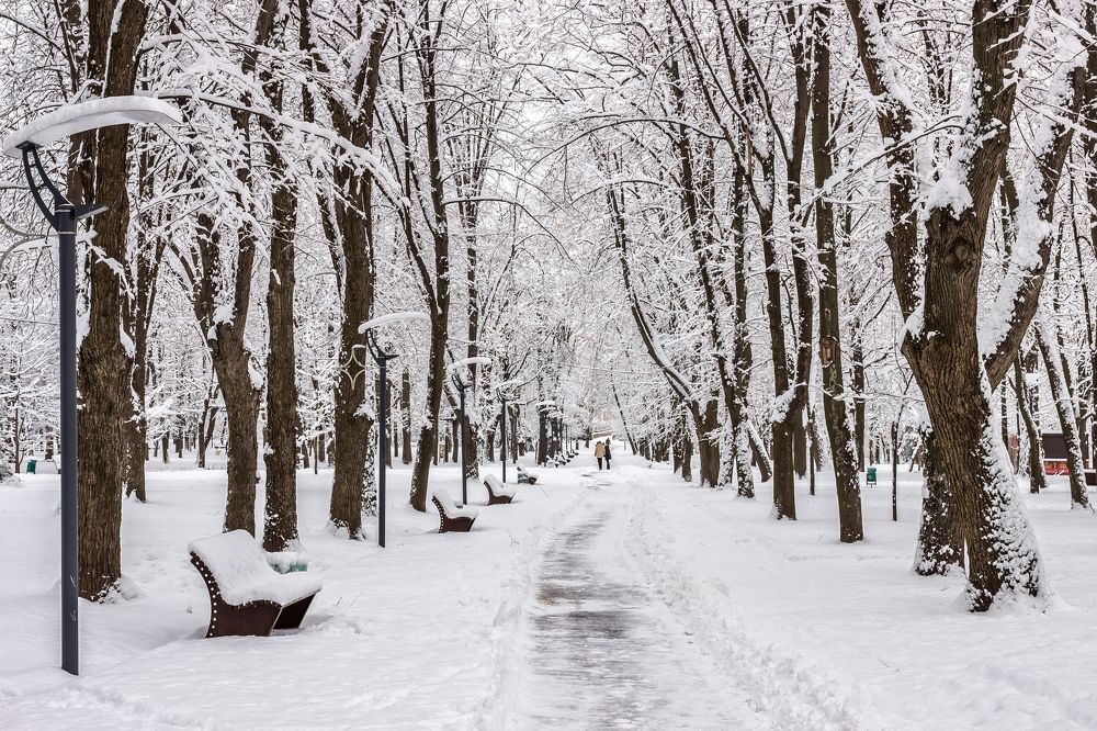 Photograph by Денис