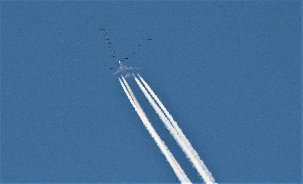 Photograph by Сергей Зубов