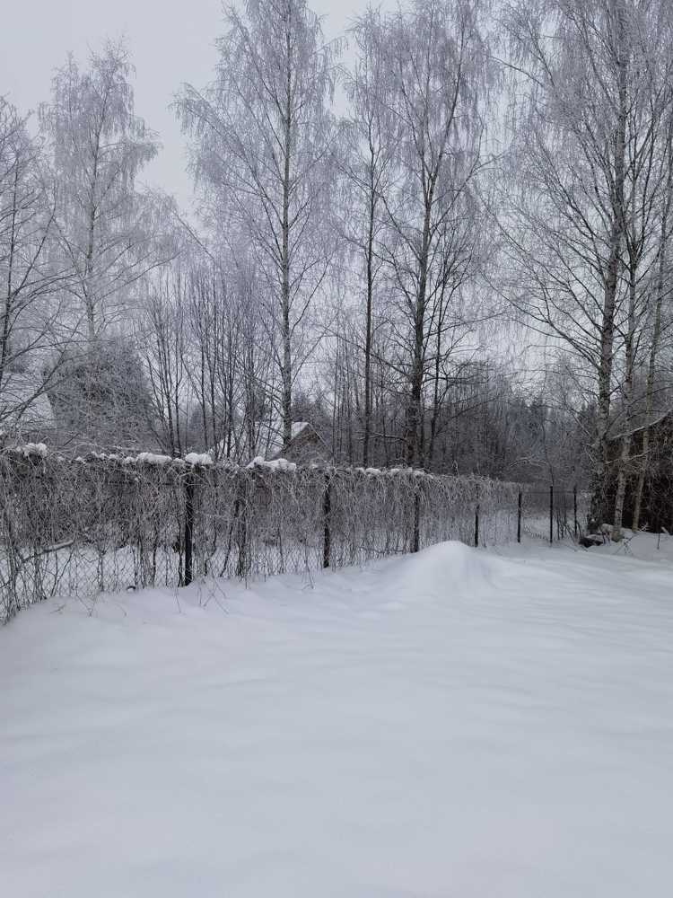 Photograph by Виктория