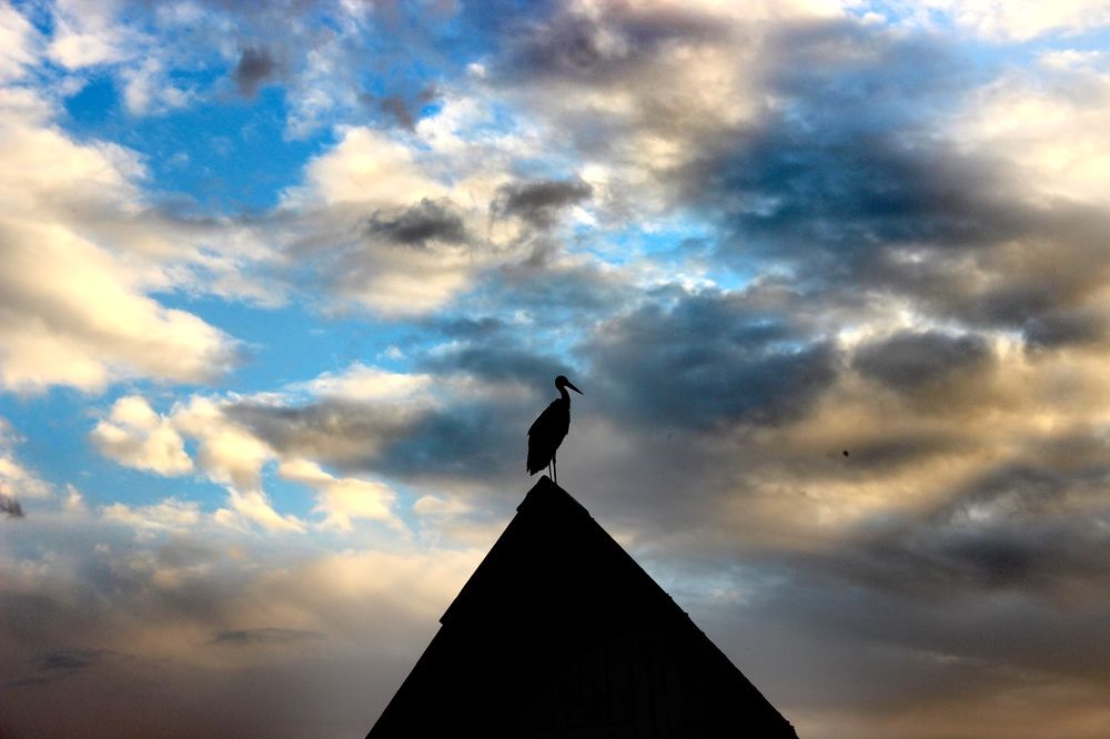 Photograph by Дарья Ермакова