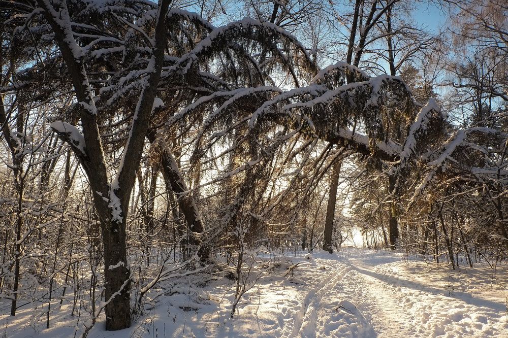 Photograph by Александр Остапчук