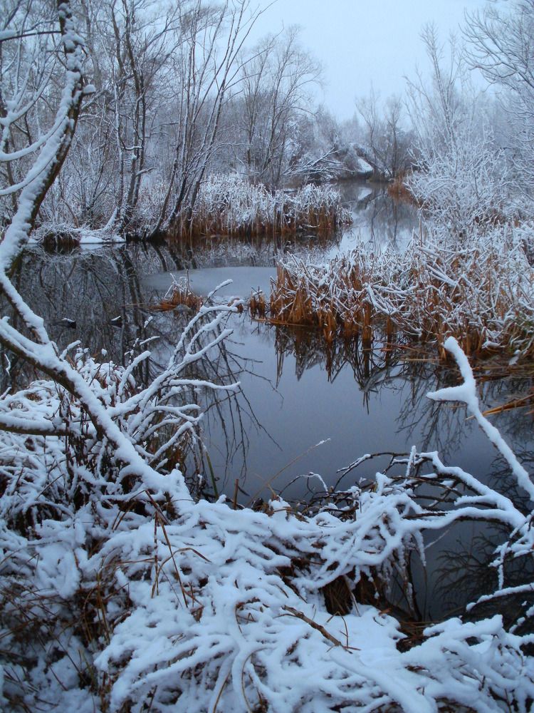 Photograph by Дмитрий Крылов