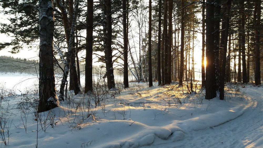 Photo #7152977