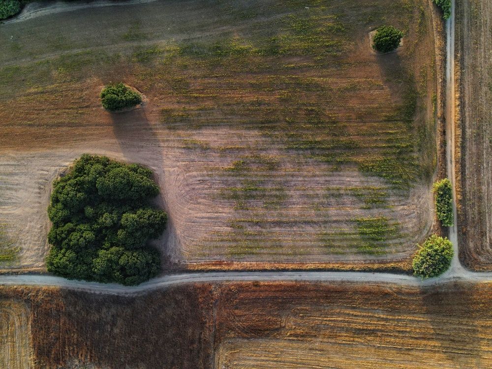 Photograph by SOTIRIS SARAFIS