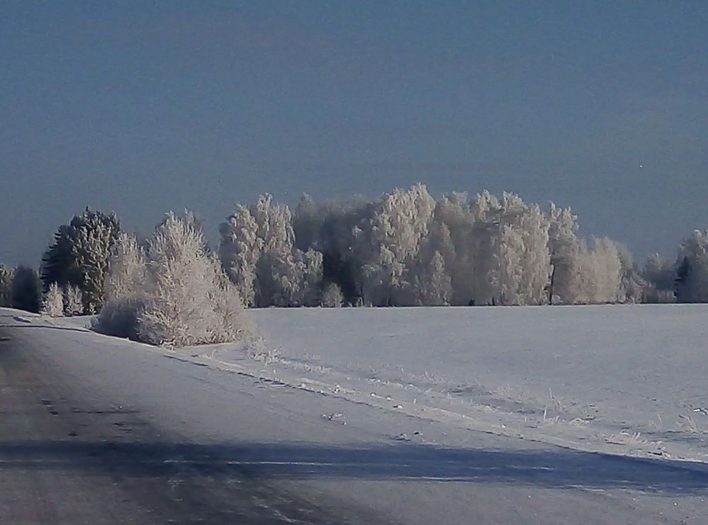 Фотография автора Татьяна Медведчикова