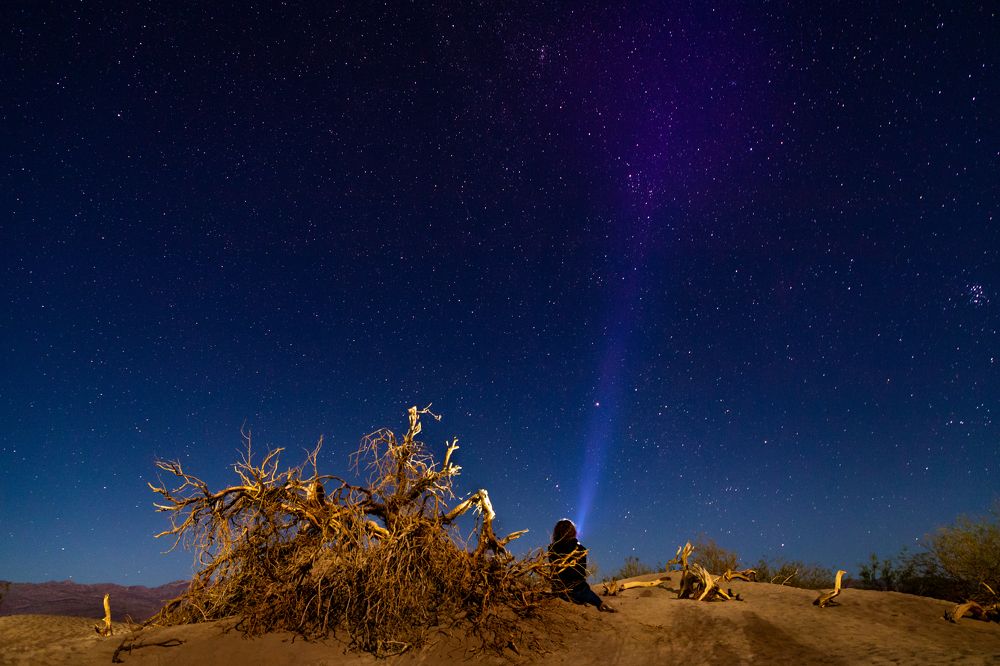 Фотография автора Aleksandr Dahov