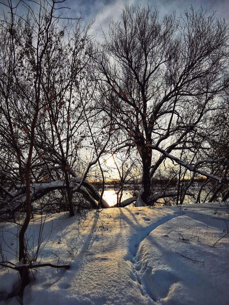 Photograph by Елена Артёменко