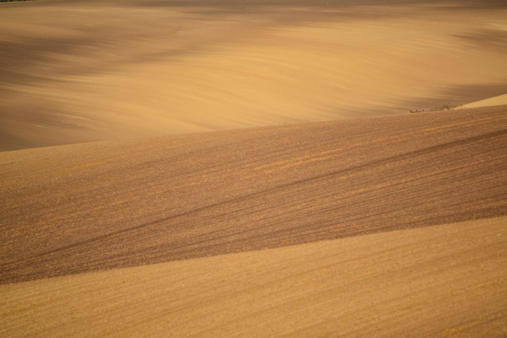 Photograph by Андрей Мозговой