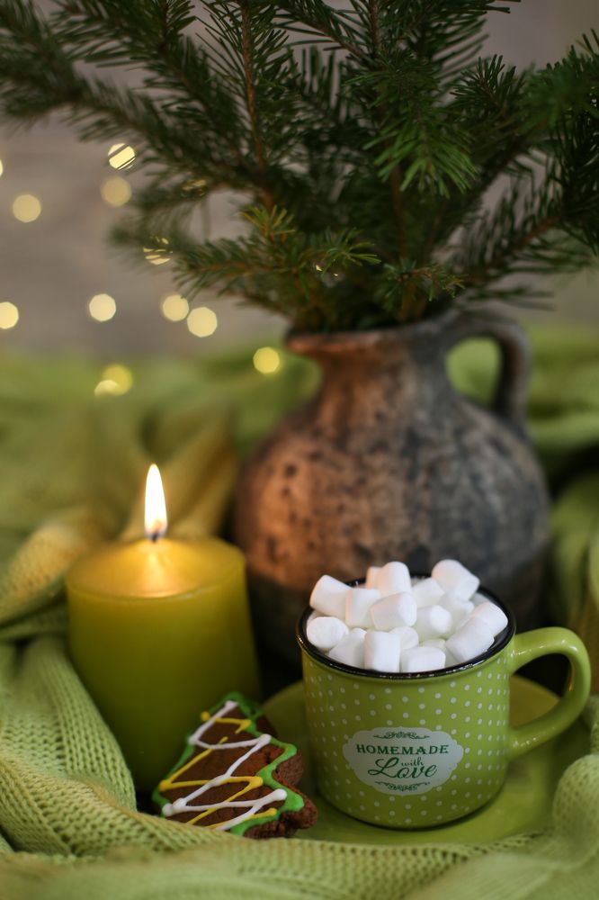 Фотография автора Шутенкова Евгения