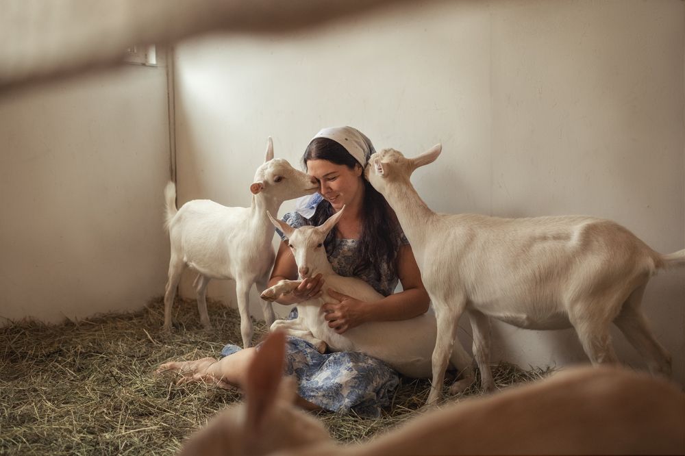 Photograph by Ирина Платонова