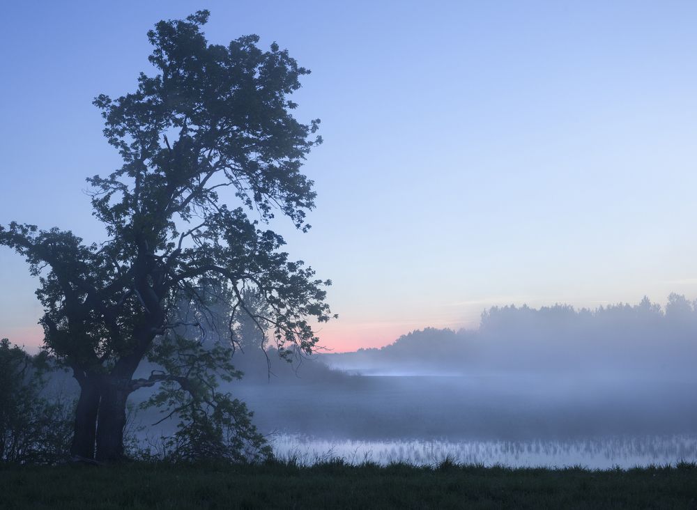 Photograph by Клементьев Виктор