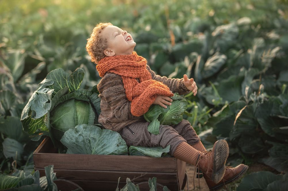Сыграем на капусте