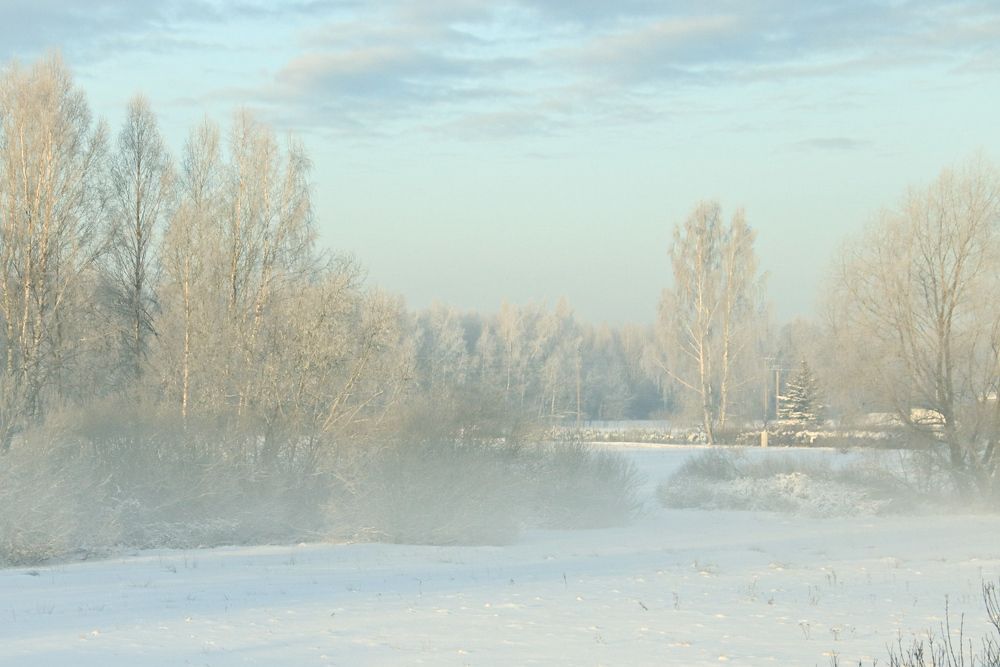 Photograph by Jelena Dzene