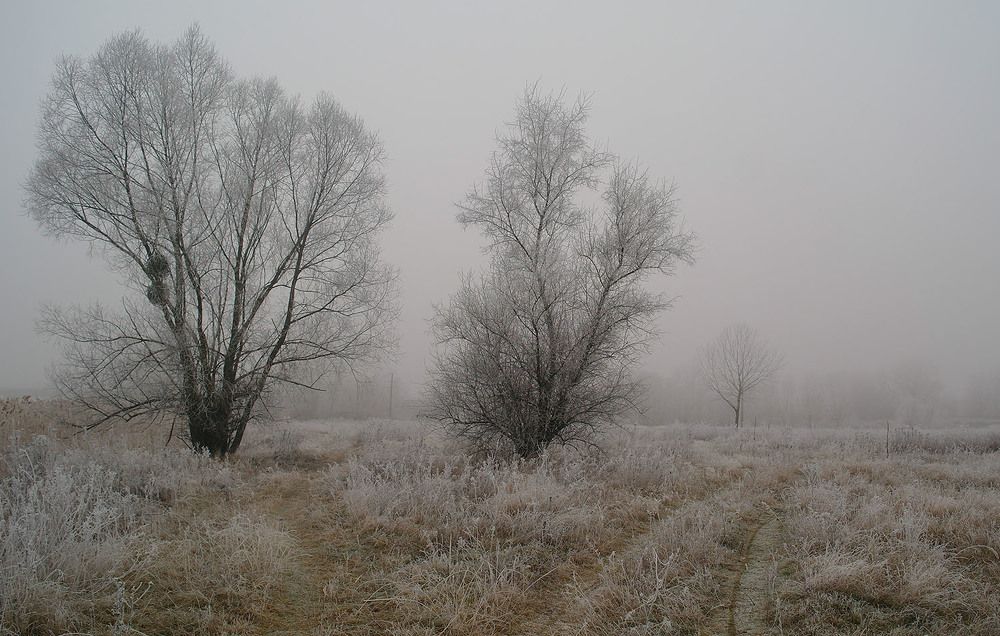 Photograph by Евгений Кулик